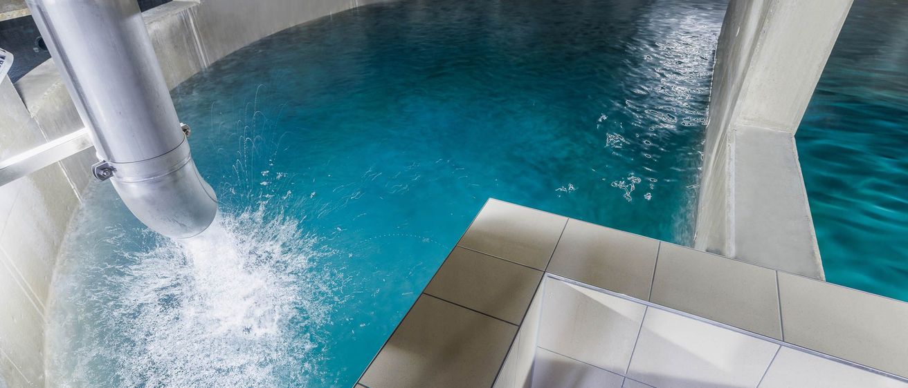 Ein Blick auf einen großen blauen Pool mit einem Wasserrohr, das hineinfließt. Der Pool ist von gefliesten Wänden umgeben.