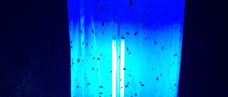 Ein hoher zylindrischer Gegenstand mit blauer Flüssigkeit im Inneren, beleuchtet durch eine Lichtquelle, die die Flüssigkeit zum Leuchten bringt.