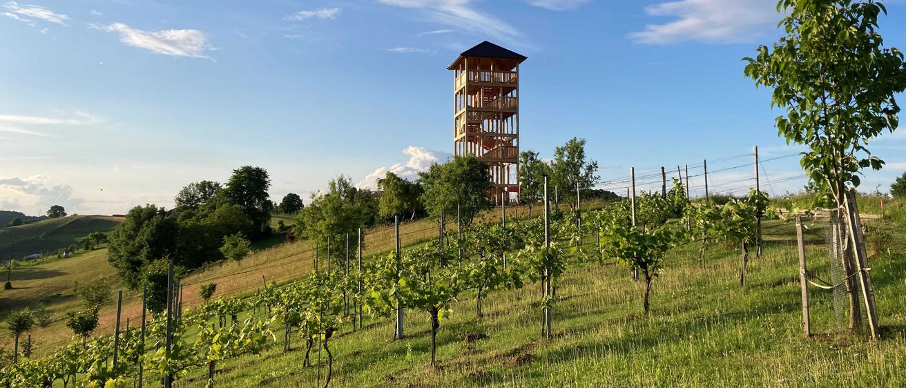 Image contains, Nature, Outdoors, Countryside, Rural, Farm, Vineyard, Scenery