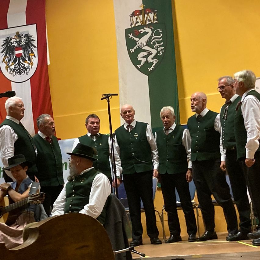 Bild enthält, People, Person, Adult, Male, Man, Microphone, Group Performance, Music Band, Crowd, Concert