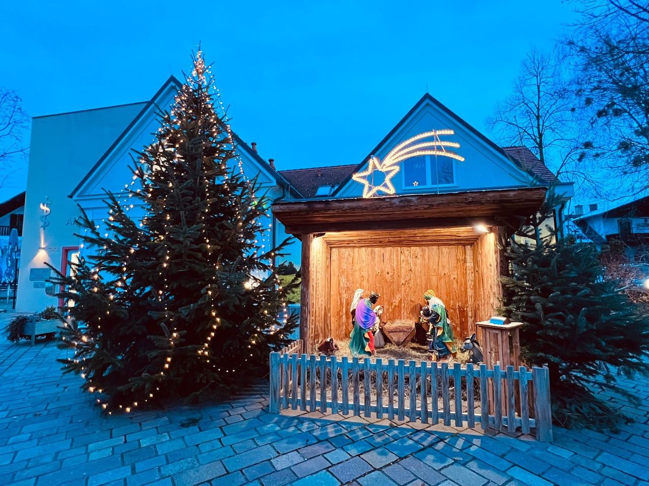 Eine Krippe im Freien mit einem sternförmigen Licht oben, umgeben von einem kleinen Zaun und einem großen Weihnachtsbaum vor einem Haus bei Nacht.