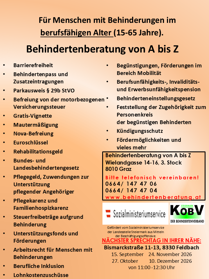 Ein Informationsposter über Behindertenberatungsdienste, das Vorteile wie barrierefreie Zugänglichkeit, Versicherungssteuererleichterung und verschiedene Unterstützungsmaßnahmen auflistet. Es enthält Kontaktdaten und einen Aufruf zur Buchung einer Beratung.