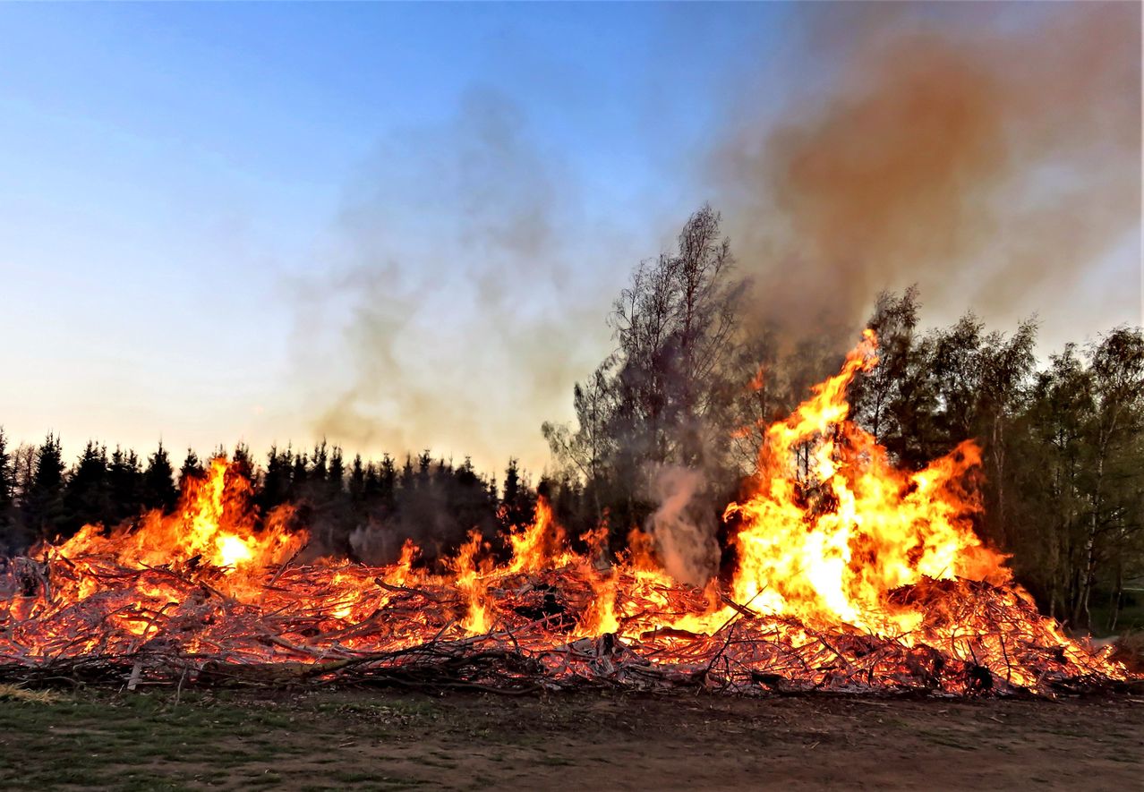 Ein Waldbrand brennt im Tageslicht heftig. Bäume, einige blattlos, umgeben die Flammen. Rauch steigt auf und breitet sich aus.