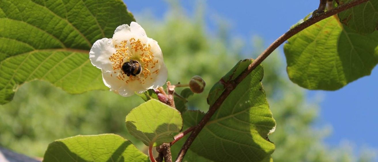 v1_migrated_image_19267667