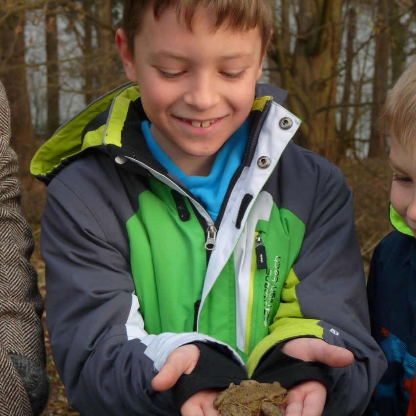 Ein Junge hält einen Frosch in den Händen in einem Waldgebiet. Er trägt eine grün-graue Jacke. Ein weiterer Junge ist teilweise hinter ihm sichtbar.