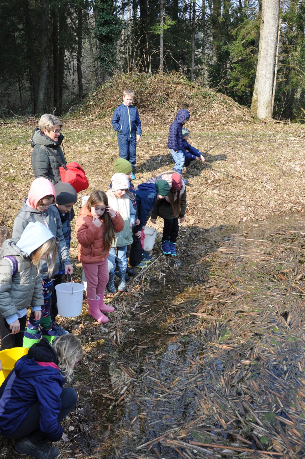 Eine Gruppe von Kindern und Erwachsenen versammelt sich am Ufer eines Teichs, einige halten Eimer und andere beobachten das Wasser. Sie tragen Winterkleidung und einige haben Mützen auf. Der Boden ist mit trockenen Blättern bedeckt.