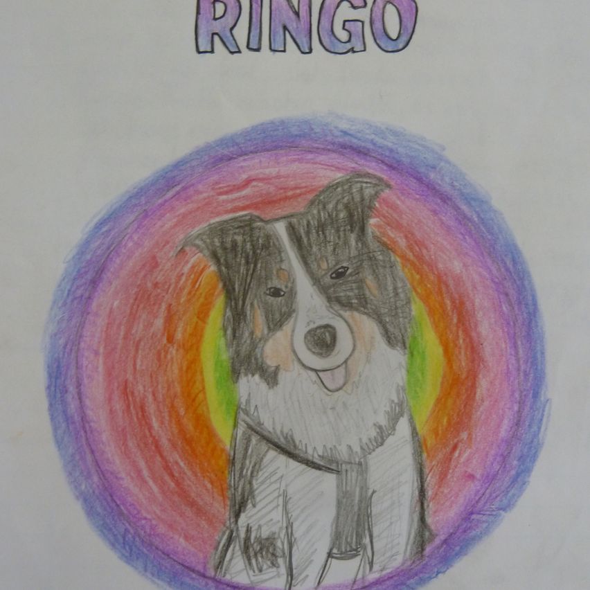 A colorful drawing of a dog named Ringo sitting inside a rainbow circle with the word Ringo above it.