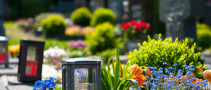 Ein Friedhof mit verschiedenen Blumen und einer roten Kerze in einer Laterne auf einem Grabstein.