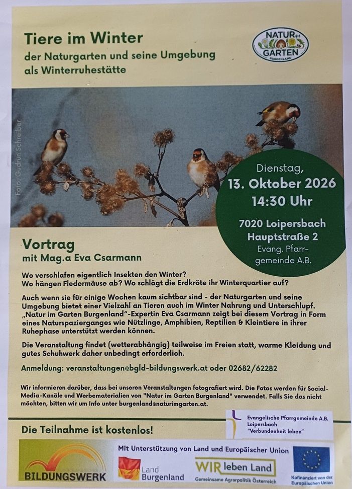 Plakat für einen Naturvortrag von Eva Csarmann am 13. Oktober 2026 um 14:30 in Loipersdorf. Es zeigt zwei Vögel auf Zweigen mit getrockneten Blumen und einem grünen Kreis mit den Veranstaltungsdetails.