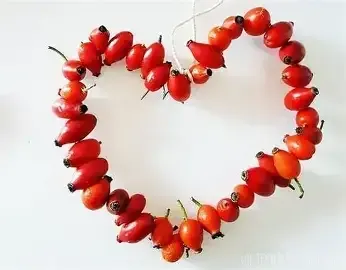 Eine herzförmige Anordnung roter Beeren, möglicherweise Hagebutten, auf weißem Hintergrund.