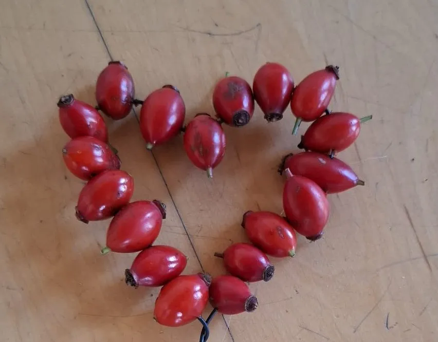 Ein herzförmiges Arrangement aus roten Hagebutten auf einer Holzoberfläche.