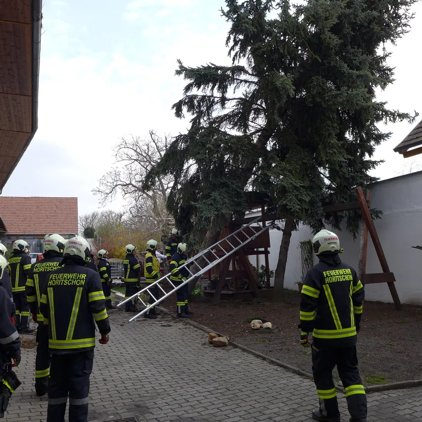Feuerwehrleute stehen um einen Baum herum, mit einer Leiter und einer Holzkonstruktion dahinter. Sie tragen Uniformen mit reflektierenden Streifen.