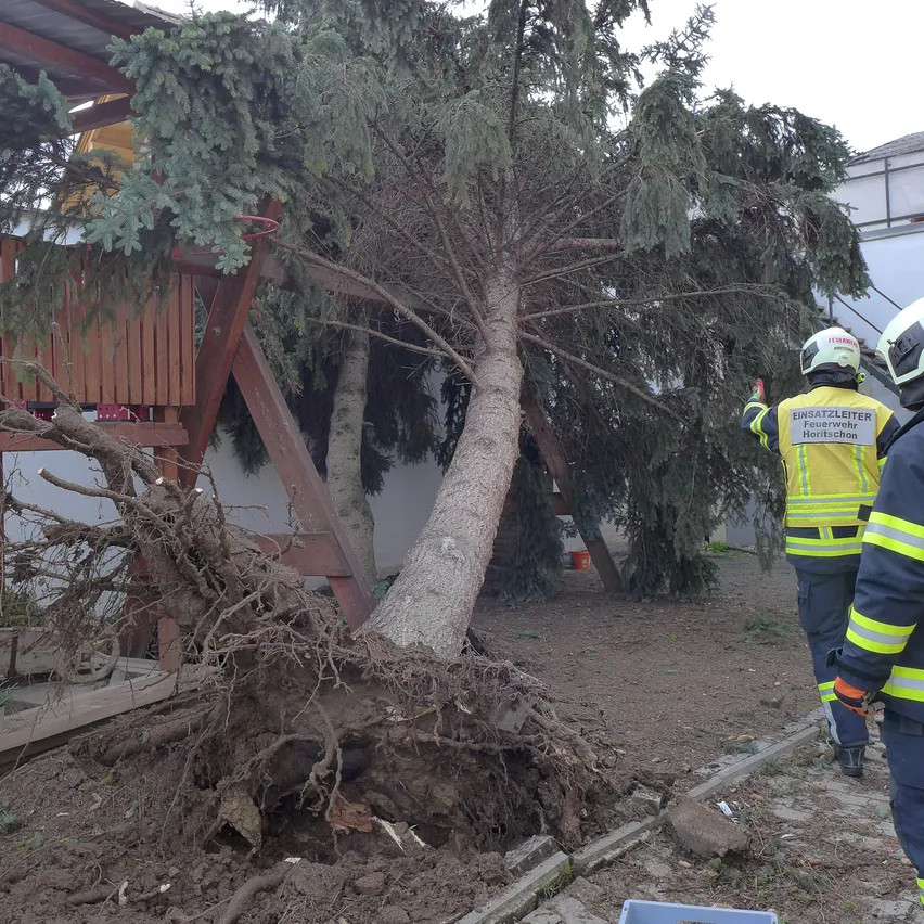 Zwei Feuerwehrleute untersuchen einen umgestürzten Baum in der Nähe eines Hauses. Einer hält einen Ast. Der Baum wurde vom Dach entfernt.