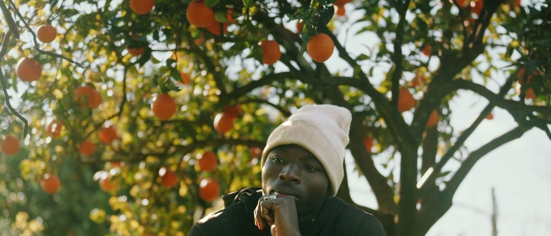 Ein Mann mit einer weißen Mütze steht unter einem Orangenbaum und sieht nachdenklich aus. Er trägt einen schwarzen Mantel und hält einen Ring am Finger.