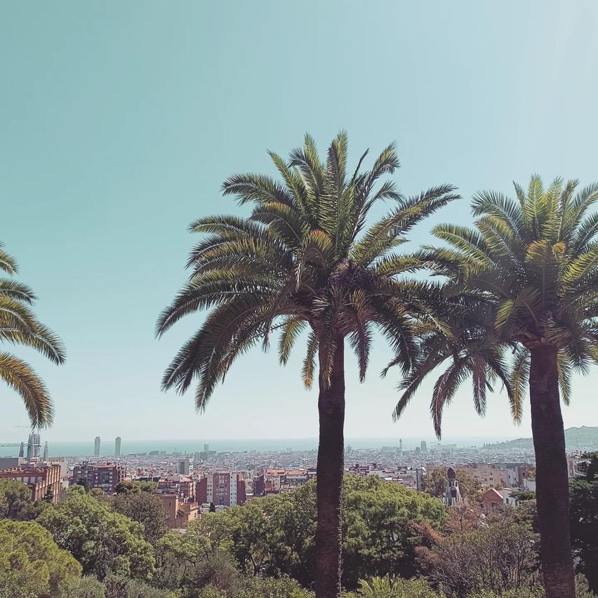 Ein landschaftlicher Blick von einem Hügel mit mehreren Palmen und der Stadtsilhouette von Barcelona im Hintergrund.