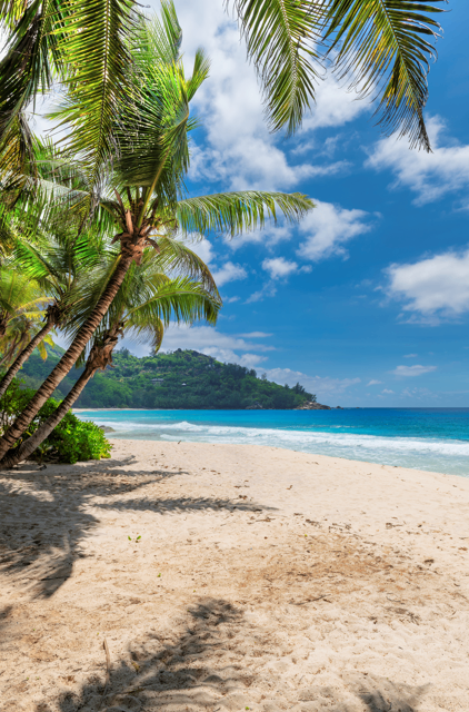 Ein tropischer Strand mit goldenem Sand und blauem Ozean unter einem blauen Himmel mit Wolken, wobei Palmen Schatten werfen.