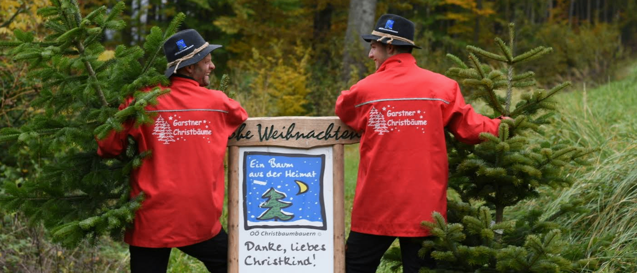 Zwei Männer in roten Jacken und Hüten stehen hinter einem Schild im Wald. Das Schild sagt 'Ein Baum aus der Heimat'. Ein Mann hält einen Weihnachtsbaum, und der andere hat einen kleinen Baum.
