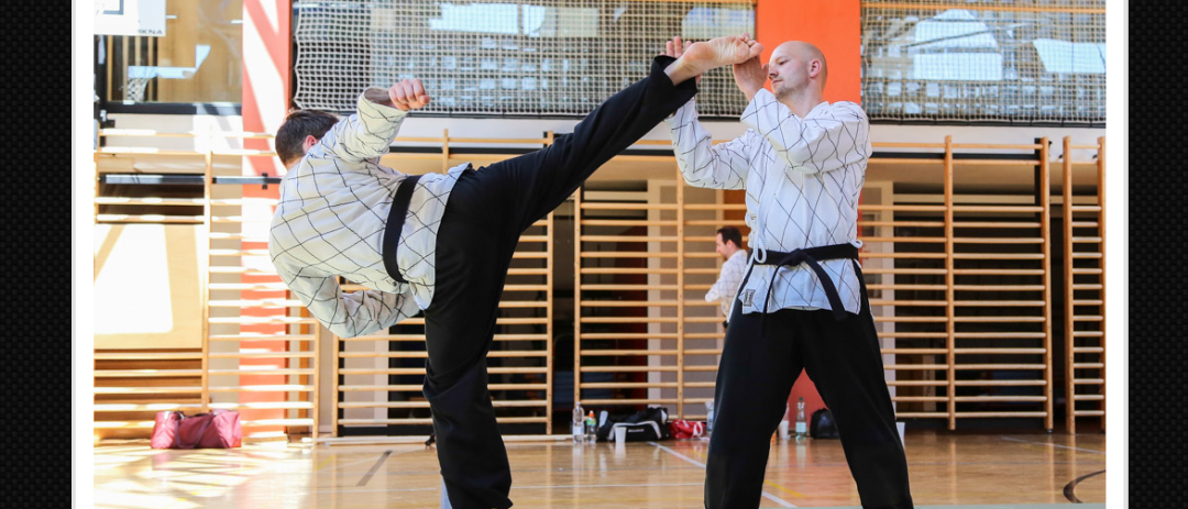 Bild enthält, Adult, Male, Man, Person, File, Martial Arts, Sport