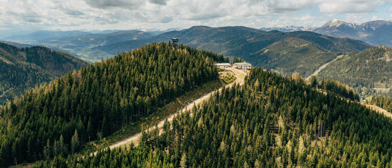 Eine Draufsicht eines Berggipfels, bedeckt mit dichten grünen Bäumen, mit einem kleinen Gebäude und einem Turm auf der Spitze.