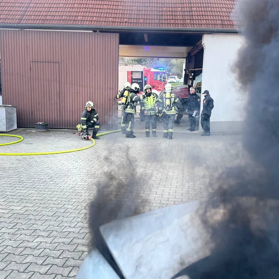 Person, Helmet, Extinguishing Fire, Fire, Plant, Clothing, Glove, Car, Transportation, Vehicle