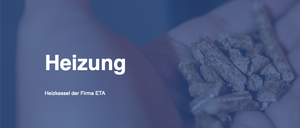 Bild enthält, Body Part, Finger, Hand, Person, Food, Produce, Nut, Plant, Vegetable