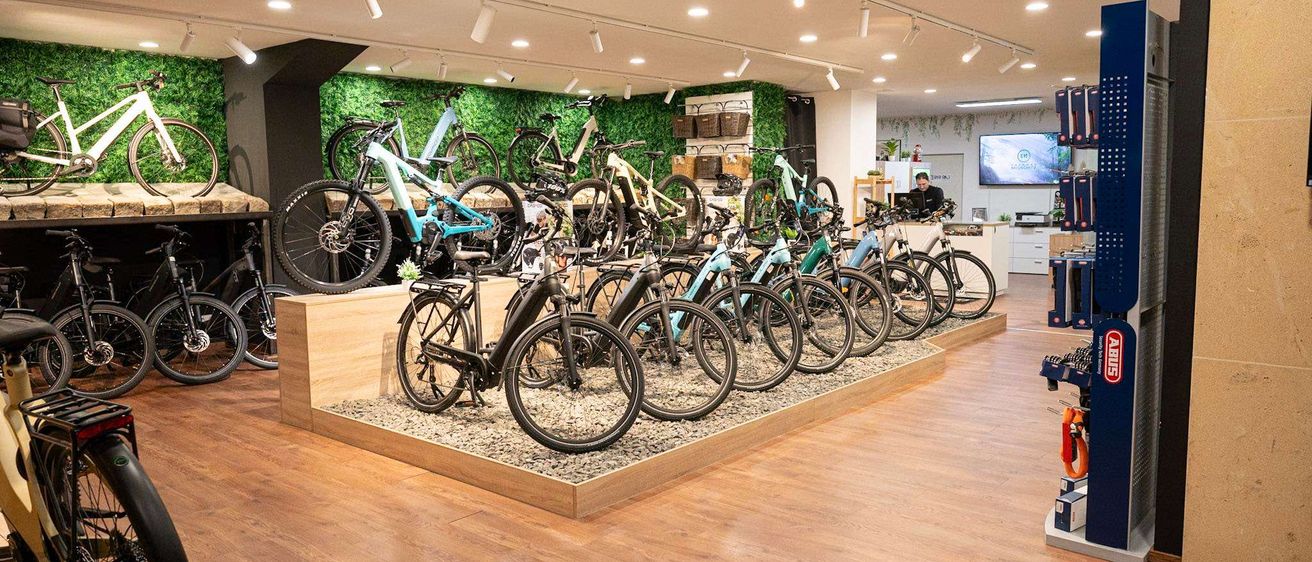 Ein moderner Fahrradladen mit Holzböden, mehreren ausgestellten Fahrrädern und einer grünen Wand. Ein Mann arbeitet im Hintergrund.
