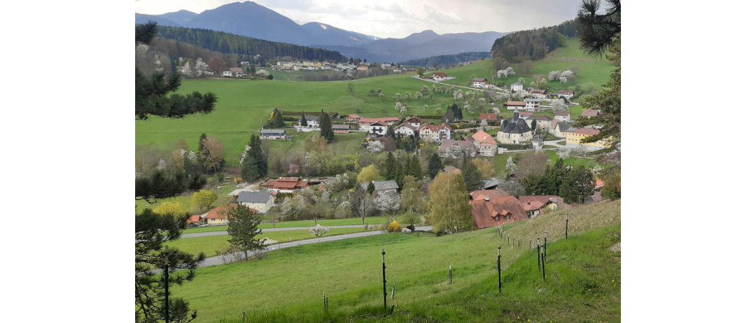 Ein Dorf mit vielen Häusern und Gebäuden, eingebettet zwischen grünen Hügeln und Bergen. Das Dorf ist von üppigen grünen Feldern und Bäumen umgeben.