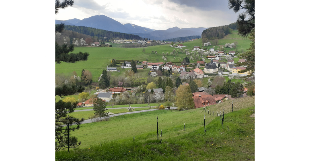 Ein Dorf mit vielen Häusern und Gebäuden, eingebettet zwischen grünen Hügeln und Bergen. Das Dorf ist von üppigen grünen Feldern und Bäumen umgeben.