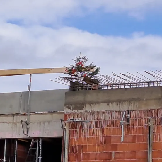 Ein kleiner Weihnachtsbaum steht auf einem Dach bei bewölktem Himmel. Das Dach ist im Bau mit sichtbaren Metallträgern und Ziegelwänden.