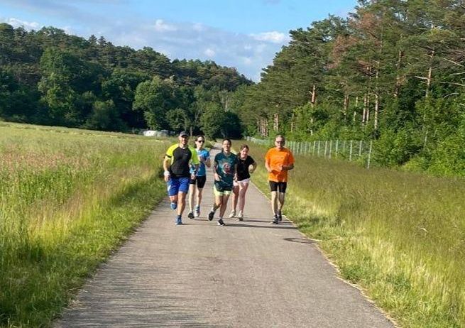 Fünf Personen joggen auf einem Pfad, umgeben von hohem Gras und Bäumen. Sie sind in unterschiedlich farbiger Sportbekleidung gekleidet. Der Himmel ist klar mit einigen Wolken.