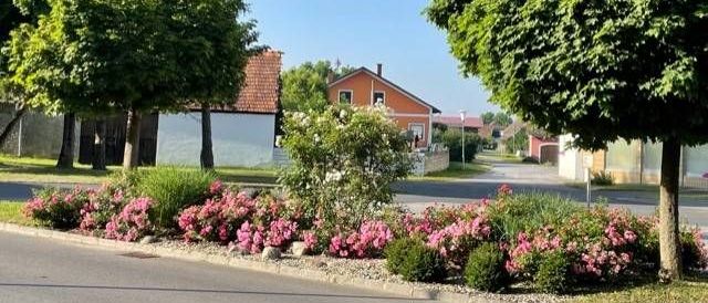 v1_migrated_image_50678331