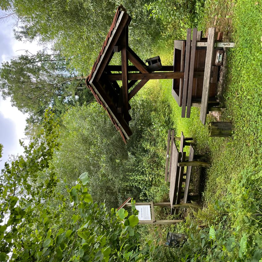 Ein Luftbild von einem hölzernen Pavillon und Picknicktischen in einem grünen Wald. Der Pavillon hat ein dreieckiges Dach und in der Nähe befinden sich zwei Bänke. Das Gebiet ist von hohen Bäumen und üppigem Grün umgeben.