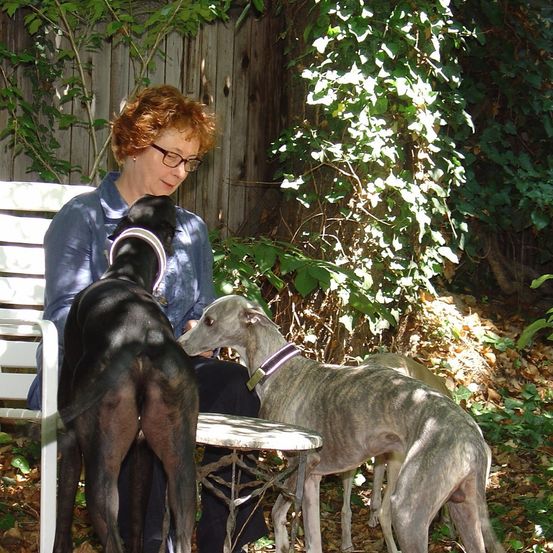 Eine Frau mit Brille sitzt auf einer Bank mit zwei Windhunden. Ein Hund steht, während der andere neben ihr sitzt. Die Umgebung ist ein Garten mit Grünpflanzen und Sonnenlicht.