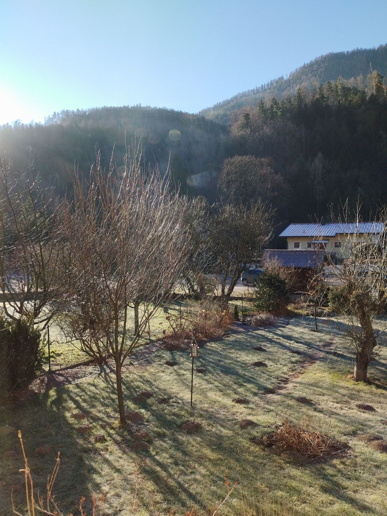 Eine malerische Ansicht eines ländlichen Gebiets mit kahlen Bäumen und einem Haus mit blauem Dach und einem sonnigen Himmel.