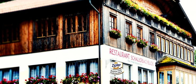 Bild enthält, Potted Plant, Planter, Hotel, Monastery, Flower, Flower Arrangement, Shelter, City, Flower Bouquet, Neighborhood