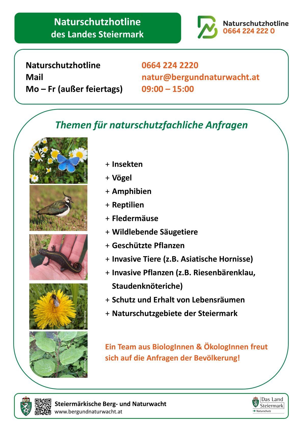 Kontaktinformationen für die Naturschutzhotline: Telefon 0664 224 2220, E-Mail natur@bergundnaturwacht.at, Mo-Fr von 09:00 bis 15:00 Uhr, Feiertage ausgenommen. Themen sind Insekten, Vögel, Amphibien, Reptilien, Fledermäuse, wildlebende Säugetiere, geschützte Pflanzen, invasive Tiere und Pflanzen sowie Naturschutzgebiete in der Steiermark.