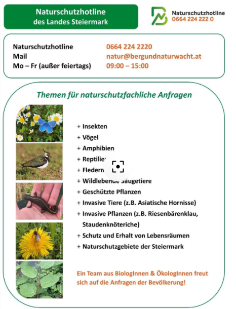 The Nature Conservation Hotline of Styria offers various topics for nature conservation requests including insects, birds, reptiles, mammals, protected plants, invasive species, and conservation of habitats. Open Monday to Friday from 9:00 to 15:00.