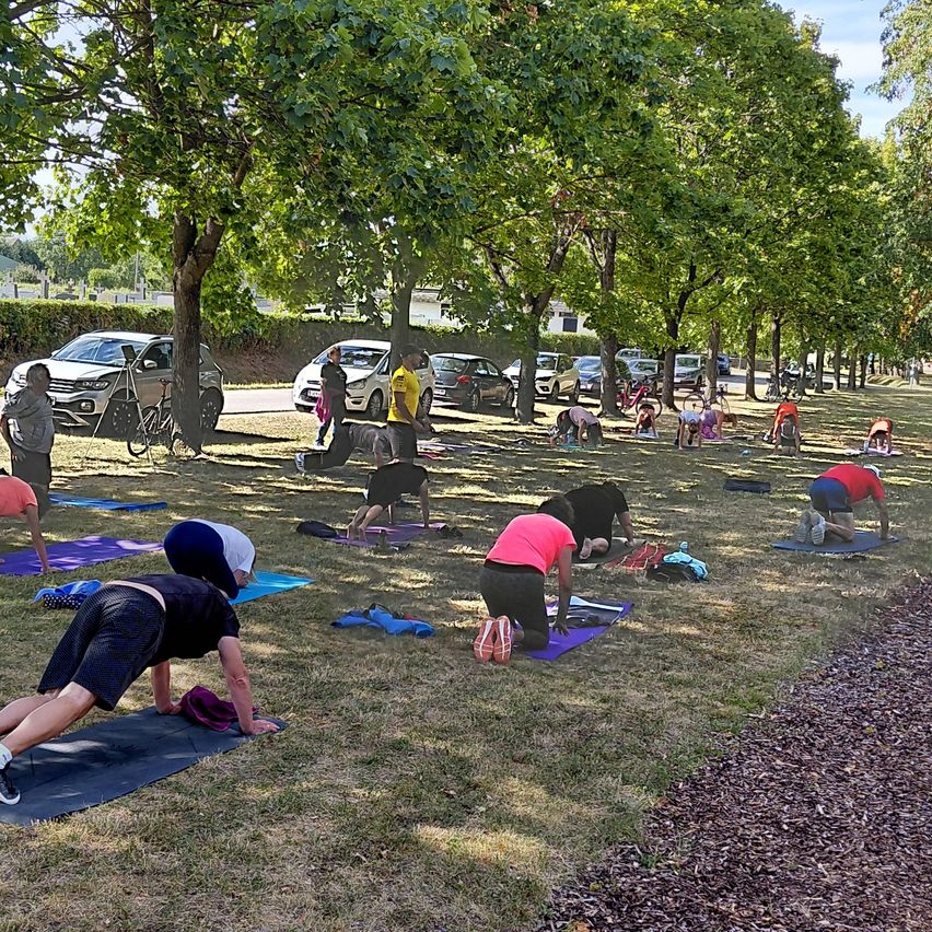 Eine Gruppe von Menschen praktiziert Yoga auf dem Rasen unter Bäumen. Einige benutzen Yogamatten, andere sind barfuß. Autos sind am Straßenrand geparkt.