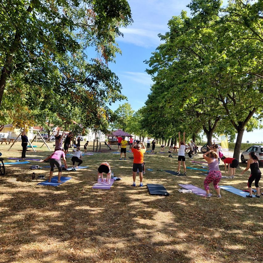Eine Gruppe von Menschen praktiziert Yoga in einem Park im Schatten von Bäumen. Einige machen Yoga-Posen, während andere stehen. Im Hintergrund sind Bäume, ein Auto und eine Bank zu sehen.