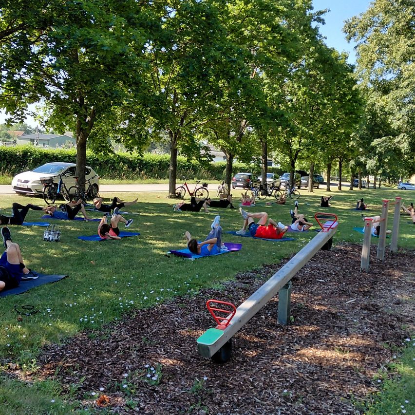 A group of people are doing yoga on the grass in a park with trees and parked cars in the background.