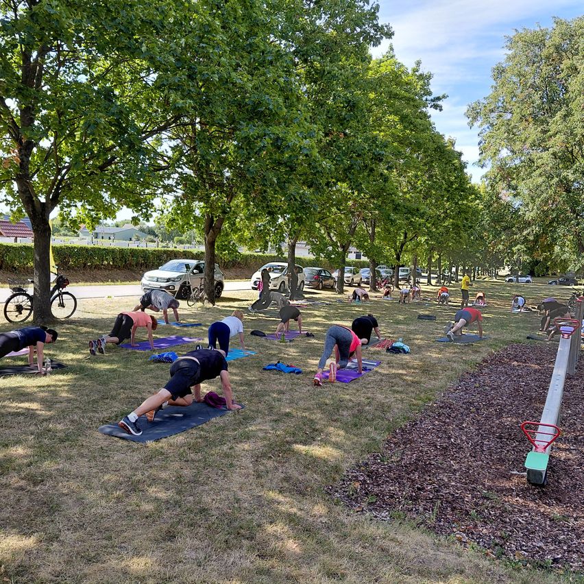 A group of people are doing yoga on a grassy field under the trees. Some are doing push-ups, while others are doing yoga poses. There are bicycles and cars parked nearby.