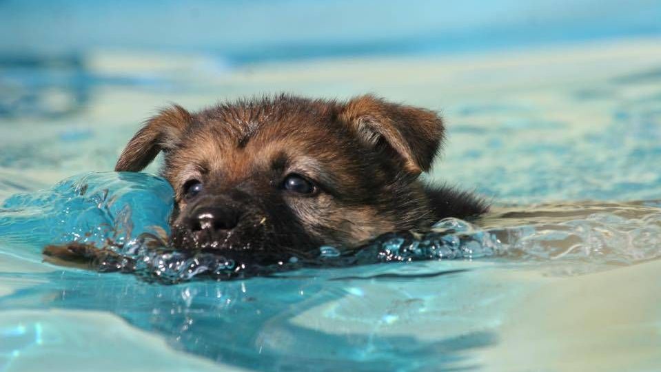 v1_migrated_image_8363255