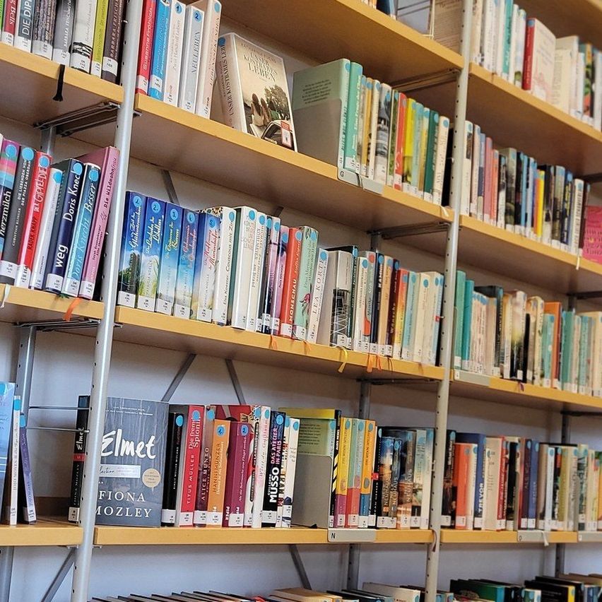 Eine Bibliothek gefüllt mit Büchern in verschiedenen Farben und Größen auf Holzregalen. Jedes Buch hat ein Etikett, und einige Bücher haben Aufkleber darauf. Die Regale sind in Reihen angeordnet.