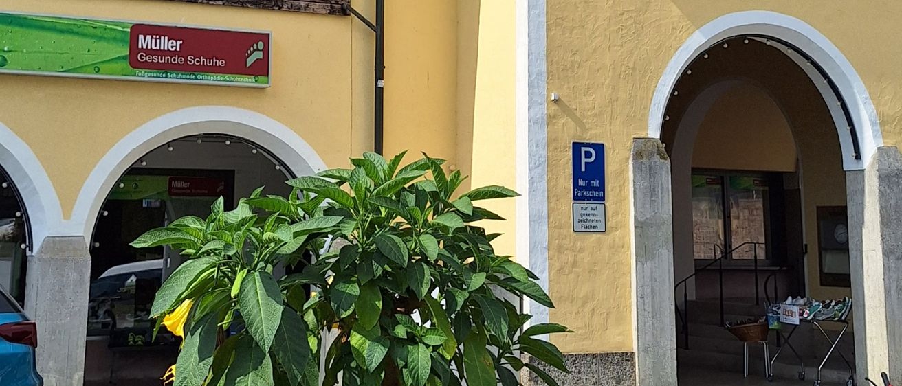 Der Müller-Laden, ein Gesundheitsschuhgeschäft, steht prominent vor einem gelben Gebäude. Ein gewölbter Eingang führt zum Geschäft, mit einem Parkzeichen an der Seite. Eine Pflanze und ein Auto sind im Vordergrund.