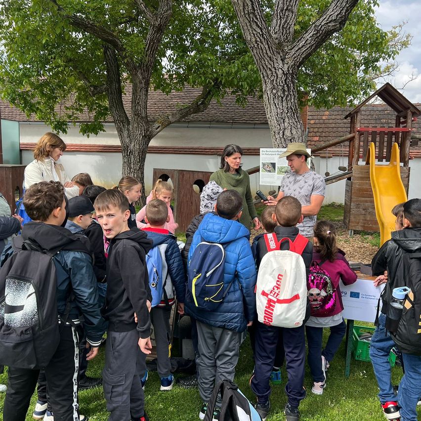 Eine Gruppe von Kindern und Erwachsenen versammelt sich um einen Baum in einem Park. Zwei Erwachsene stehen vor ihnen. In der Nähe befinden sich eine Rutsche, ein Haus und ein Schild.