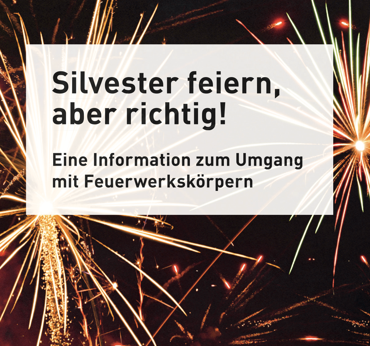 Ein weißer Kasten mit schwarzem Text auf dunklem Hintergrund mit Feuerwerk. Der Text lautet 'Silvester feiern, aber richtig!' gefolgt von 'Eine Information zum Umgang mit Feuerwerkskörpern'.