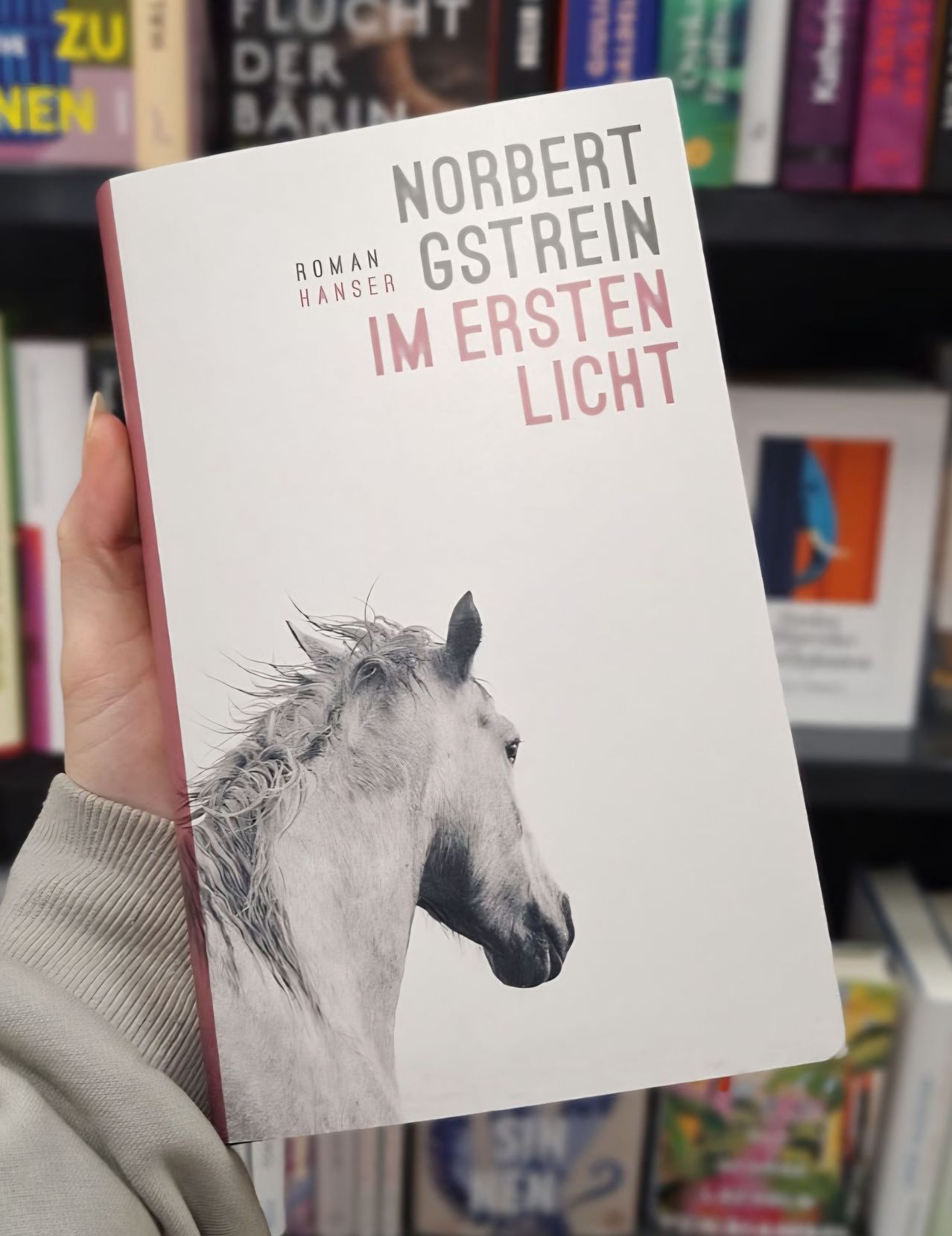 Eine Hand hält ein Buch mit dem Titel 'Im ersten Licht' von Norbert Gstrein, das ein Schwarz-Weiß-Bild von einem Pferd zeigt.