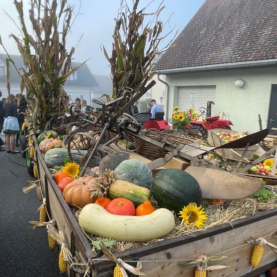 Bild enthält, Person, Nature, Outdoors, Mortar Shell, Weapon