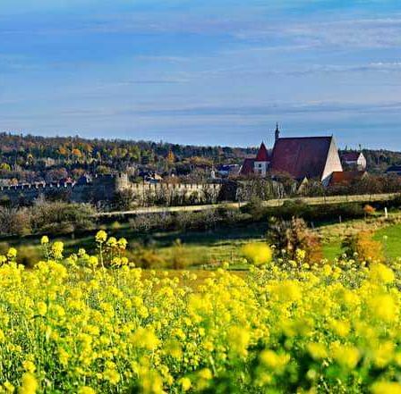 Bild enthält, Landscape, Nature, Outdoors, Scenery, Field, Grassland, Countryside, Meadow, Rural, Pasture