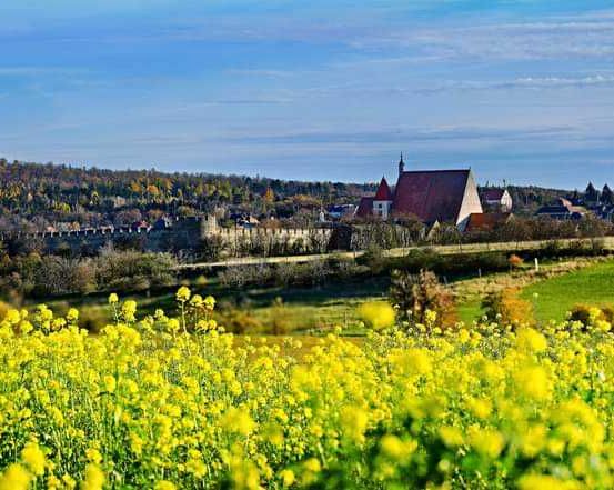 Bild enthält, Landscape, Nature, Outdoors, Scenery, Field, Grassland, Countryside, Meadow, Rural, Pasture